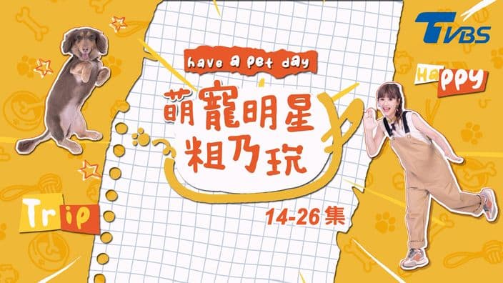 萌寵明星粗乃玩